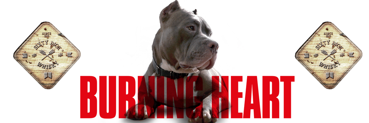 Sixty Dick, Pitbull, Dojo, Burning Heart